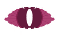 A burgundy eye with white eyelashes